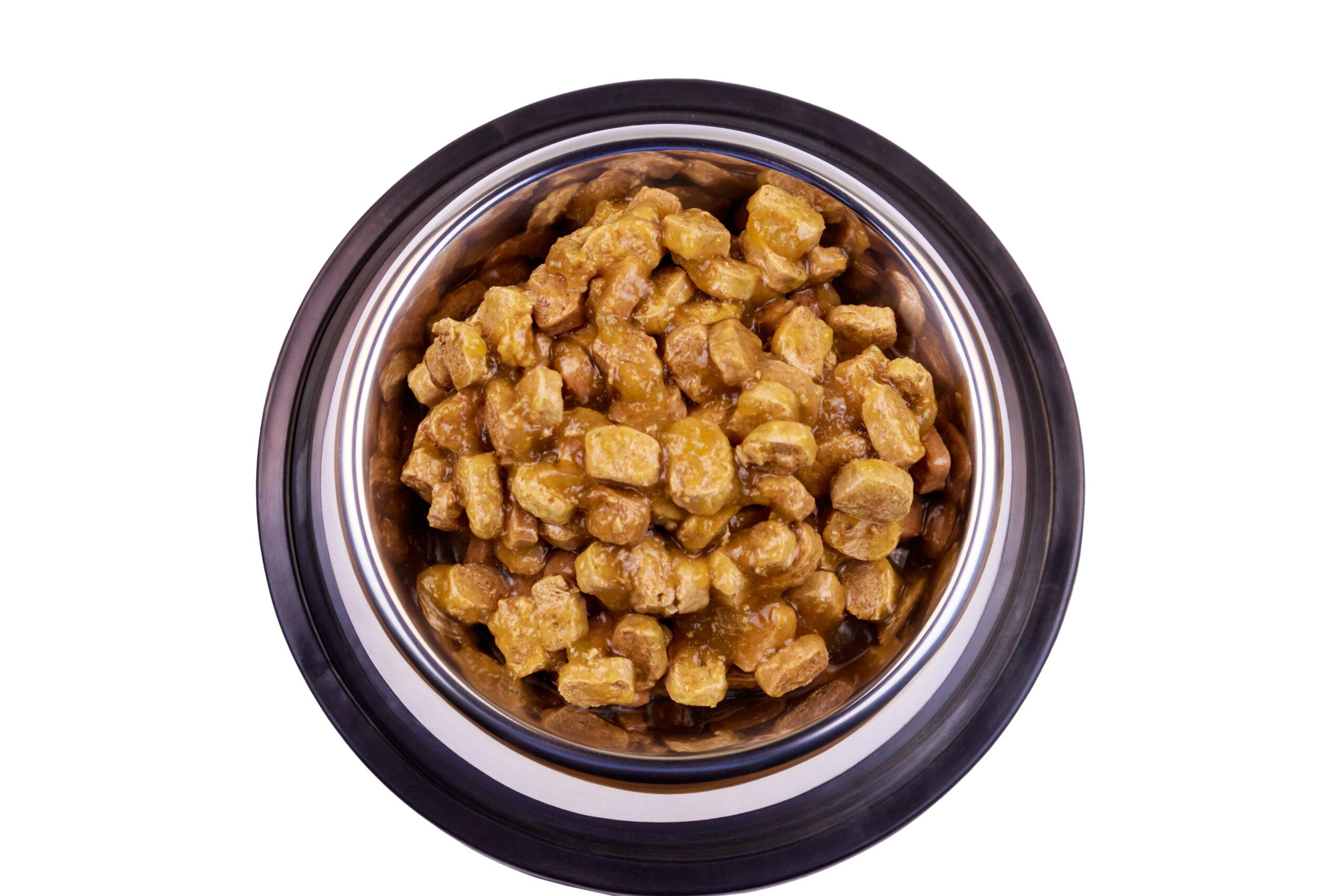 Lesson 39 Commercial Cat Food Two Legs and Four Holistic Health